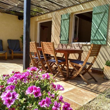 L'Arbre A Soleil Villa Aigues-Vives  Eksteriør bilde