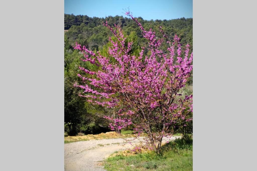 L'Arbre A Soleil Villa Aigues-Vives  Eksteriør bilde