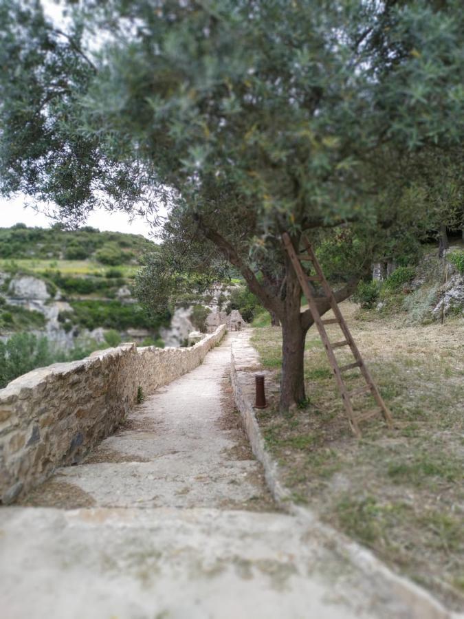 L'Arbre A Soleil Villa Aigues-Vives  Eksteriør bilde